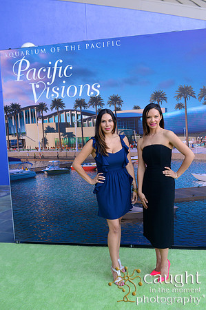 63 Aquarium of the Pacific Blue Whale Gala 2015