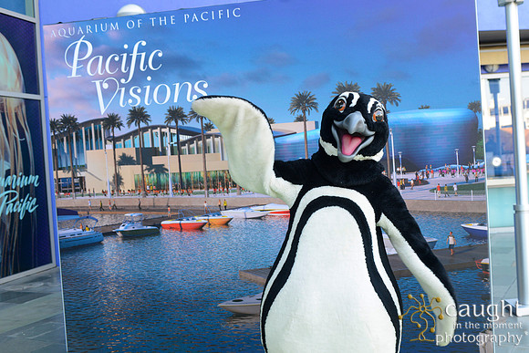 32 Aquarium of the Pacific Blue Whale Gala 2015