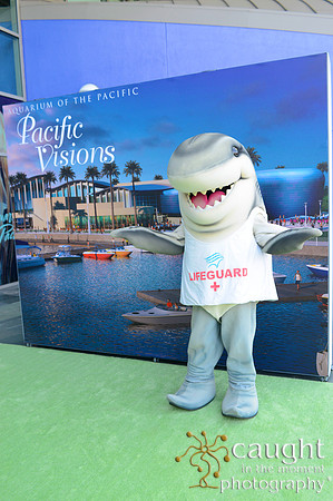 33 Aquarium of the Pacific Blue Whale Gala 2015