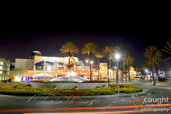 119 Aquarium of the Pacific Special Event Venue
