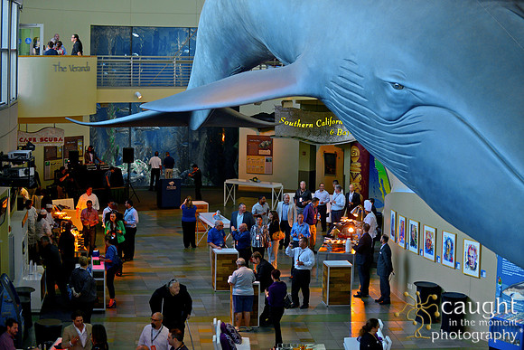 078 Aquarium of the Pacific Special Event Venue