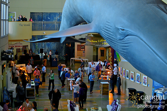 079 Aquarium of the Pacific Special Event Venue