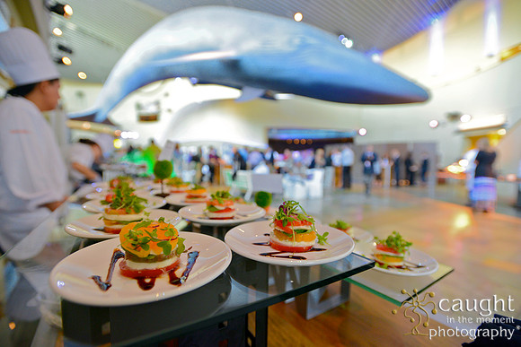 107 Aquarium of the Pacific Special Event Venue