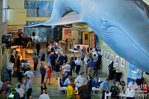 098 Aquarium of the Pacific Special Event Venue