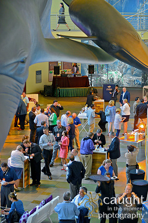 085 Aquarium of the Pacific Special Event Venue