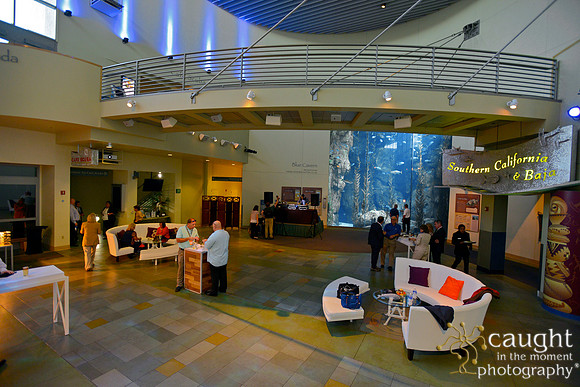 110 Aquarium of the Pacific Special Event Venue