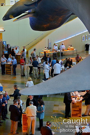 101 Aquarium of the Pacific Special Event Venue