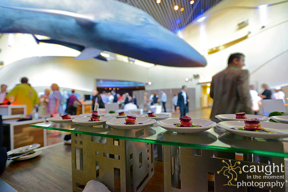 105 Aquarium of the Pacific Special Event Venue