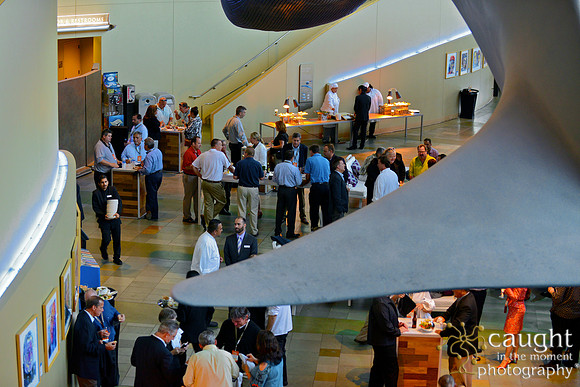 100 Aquarium of the Pacific Special Event Venue