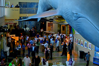 080 Aquarium of the Pacific Special Event Venue