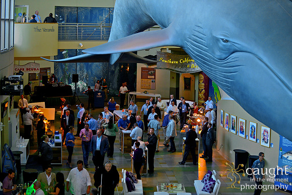 080 Aquarium of the Pacific Special Event Venue