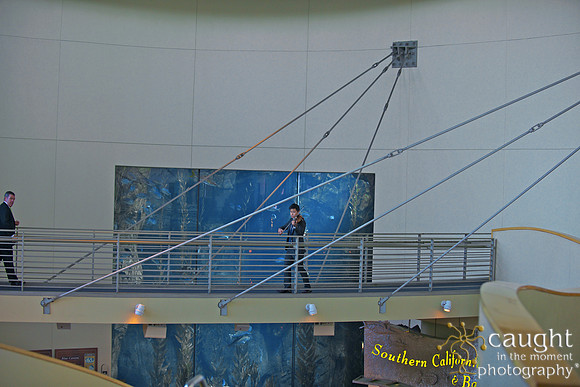 071 Aquarium of the Pacific Special Event Venue