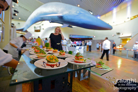 108 Aquarium of the Pacific Special Event Venue