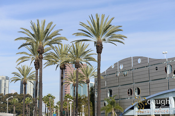 020 Pacific Visions Groundbreaking