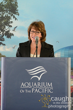 146 Pacific Visions Groundbreaking