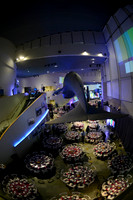 200 Aquarium of the Pacific Blue Whale Gala 2015