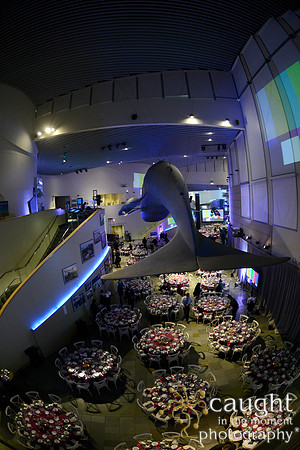 200 Aquarium of the Pacific Blue Whale Gala 2015