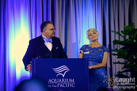 208 Aquarium of the Pacific Blue Whale Gala 2015