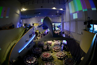 199 Aquarium of the Pacific Blue Whale Gala 2015
