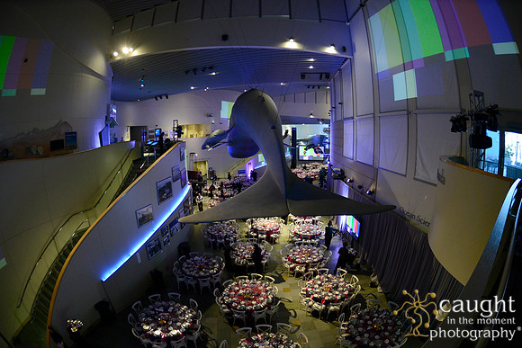 199 Aquarium of the Pacific Blue Whale Gala 2015