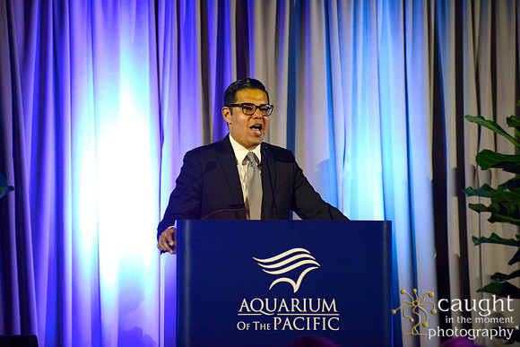 249 Aquarium of the Pacific Blue Whale Gala 2015