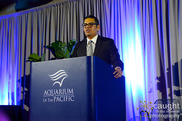 247 Aquarium of the Pacific Blue Whale Gala 2015