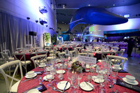 195 Aquarium of the Pacific Blue Whale Gala 2015