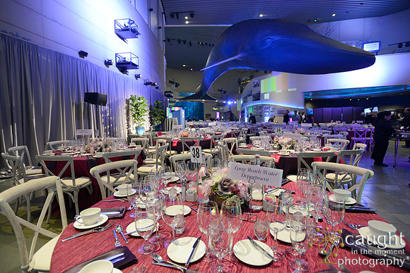 195 Aquarium of the Pacific Blue Whale Gala 2015