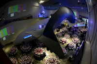 201 Aquarium of the Pacific Blue Whale Gala 2015