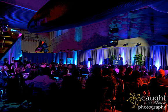 253 Aquarium of the Pacific Blue Whale Gala 2015