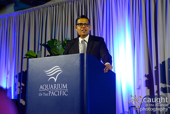 250 Aquarium of the Pacific Blue Whale Gala 2015
