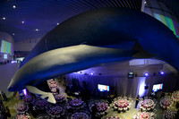 198 Aquarium of the Pacific Blue Whale Gala 2015