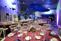 194 Aquarium of the Pacific Blue Whale Gala 2015