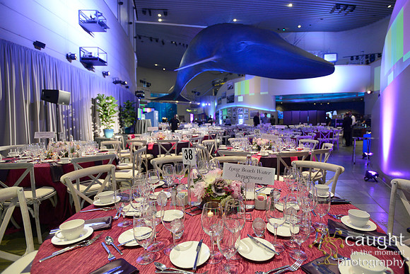 194 Aquarium of the Pacific Blue Whale Gala 2015
