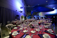 193 Aquarium of the Pacific Blue Whale Gala 2015