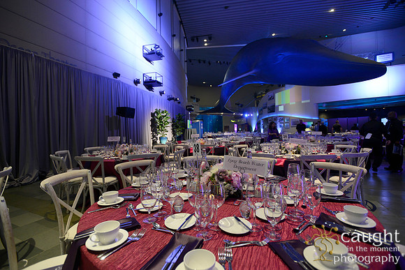 193 Aquarium of the Pacific Blue Whale Gala 2015