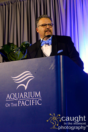 218 Aquarium of the Pacific Blue Whale Gala 2015