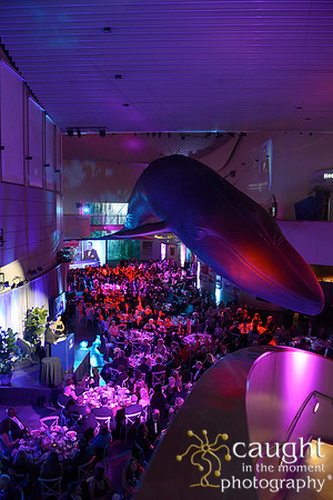 254 Aquarium of the Pacific Blue Whale Gala 2015