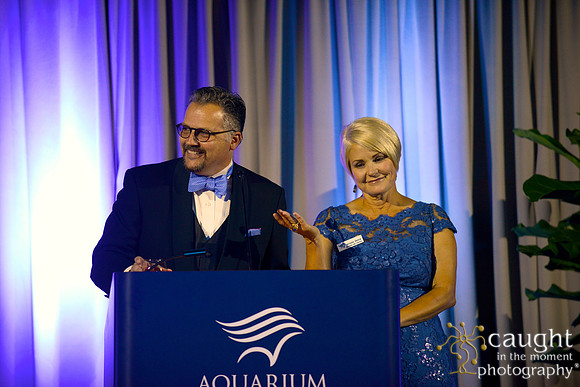 205 Aquarium of the Pacific Blue Whale Gala 2015