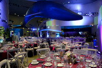 192 Aquarium of the Pacific Blue Whale Gala 2015