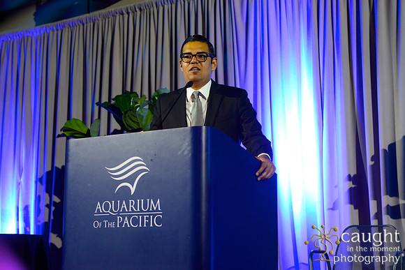 248 Aquarium of the Pacific Blue Whale Gala 2015