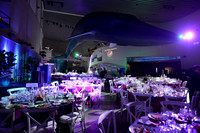 202 Aquarium of the Pacific Blue Whale Gala 2015