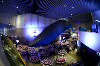 197 Aquarium of the Pacific Blue Whale Gala 2015