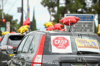 014 CropWalk2020