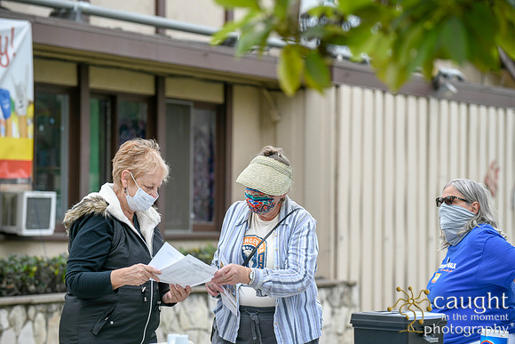 010 CropWalk2020