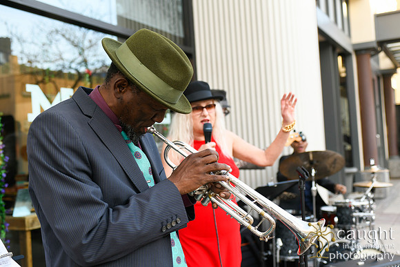 196 Elinor Grand Opening