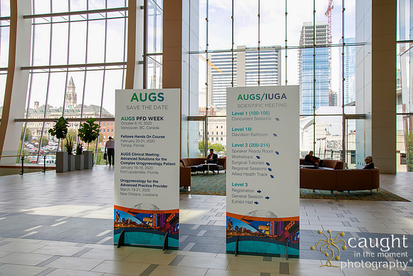 012 AUGS-IUGA 2019 Nashville