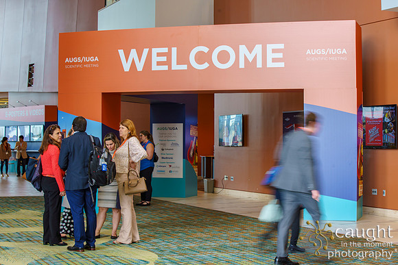 032 AUGS-IUGA 2019 Nashville