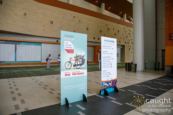 010 AUGS-IUGA 2019 Nashville