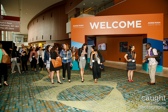 027 AUGS-IUGA 2019 Nashville